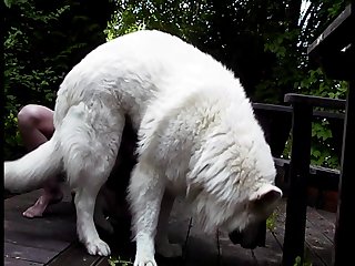 Extreme Anal Solo Porn
