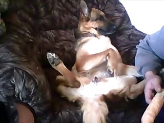 Porn Extreme Throatfuck