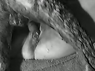 Extreme Pierced Cock Porn