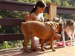 Porn Extreme Violence