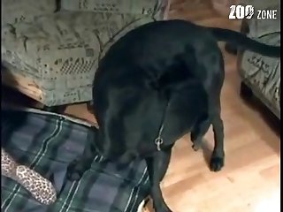 Extreme Mom And Son Porn