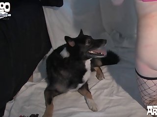 Extreme Face Farting Porn