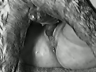 Interracial Porn Extreme