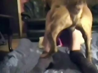 Porn Hd Extreme
