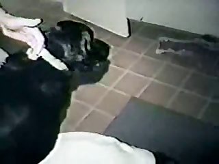 Extreme Penetration Porn Cartoon