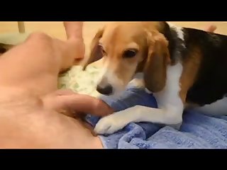Porn Extreme Public Humiliation