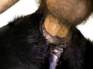 Extreme Teen 18 Porn