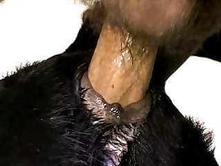 Extreme Teen 18 Porn