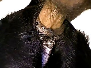 Extreme Teen 18 Porn