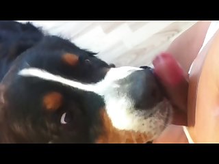 Extreme Squirting Porn Compilation