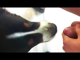 Extreme Squirting Porn Compilation