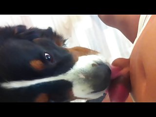 Extreme Squirting Porn Compilation