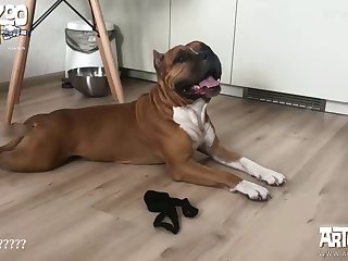 Extreme Stepdaughter Porn