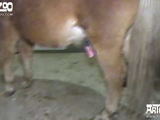 Porn Video Masturbation In Public In Parking Lot Squirt Orgasm Extreme