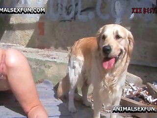 Extreme Zoo Animal Porn