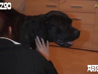 Assylum Extreme Porn