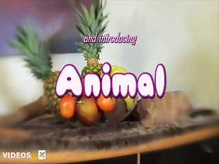 Extreme Pregnant Sex Porn