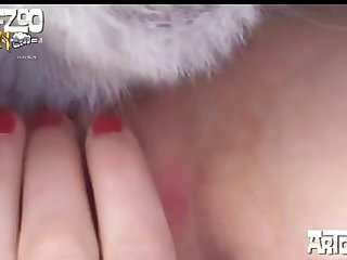 Tickzoo