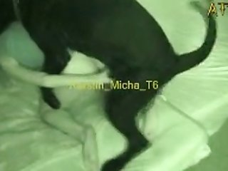 Extreme Animal Spanking Porn