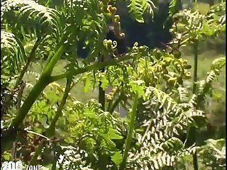 Natasha Nice Extreme Porn