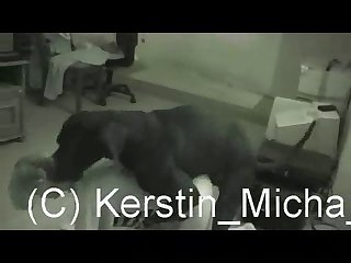Extreme Lesbian Porn Compilation
