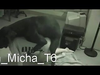 Extreme Lesbian Porn Compilation