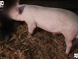 Extreme Ball Pulling Porn