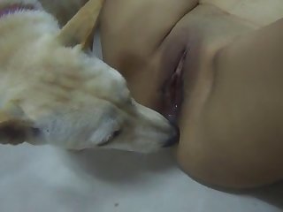 Dog Fuck Aunty