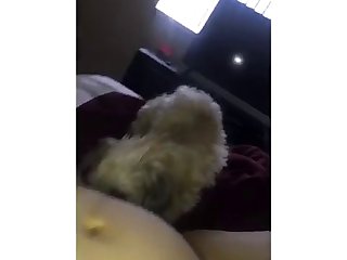 Dog Fuck Women Xvideos