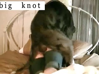 Dog Fuck Girl Outdoors