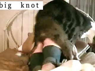 Dog Fuck Girl Outdoors