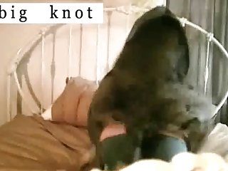 Dog Fuck Girl Outdoors