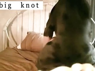 Dog Fuck Girl Outdoors