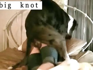 Dog Fuck Girl Outdoors