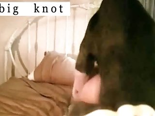 Dog Fuck Girl Outdoors