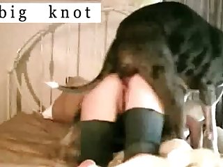 Dog Fuck Girl Outdoors