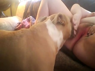 Retard Guy Trying To Fuck His Mom Sister And Dog