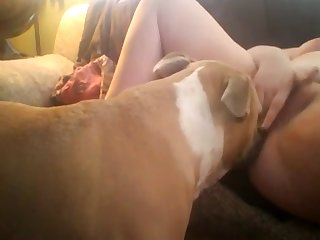Retard Guy Trying To Fuck His Mom Sister And Dog