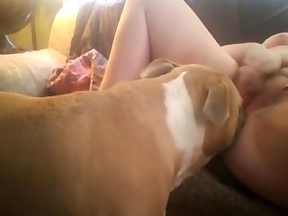 Retard Guy Trying To Fuck His Mom Sister And Dog