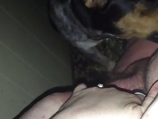 Big Pussy Fuck Dog