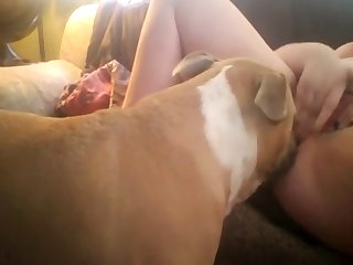 Retard Guy Trying To Fuck His Mom Sister And Dog
