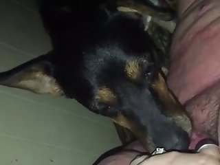 Big Pussy Fuck Dog