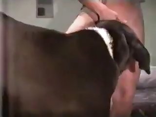 Dog Fuck Thai Girl