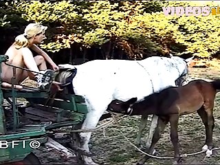 Girl Fuck Dog Gif