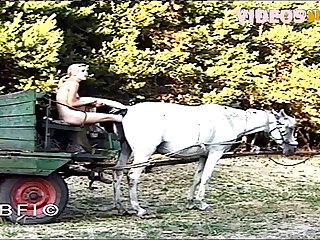 Guy Fuck Dog Rough