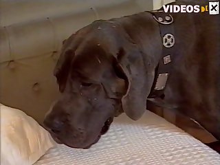 Tim Dog Fuck Compton