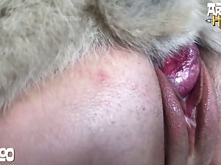 Teen Fuck Family Dog