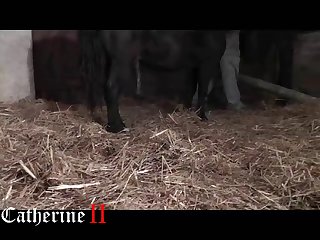 Xxx Porn Animal Sex