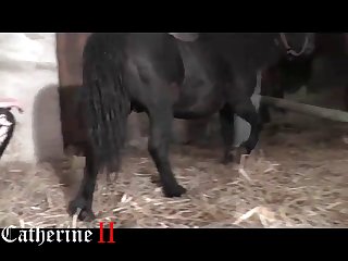 Xxx Porn Animal Sex