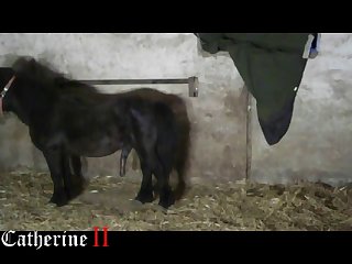 Zoofiliaporno